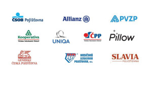 LOGA-POJ-+-VZP.NEW